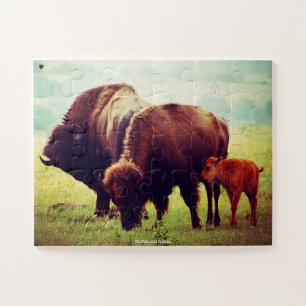 Puzzle Buffles et veaux