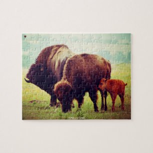Puzzle Buffles et veaux