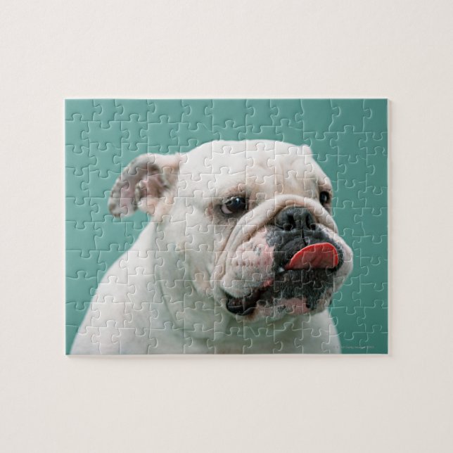 Puzzle Bulldog (Horizontal)