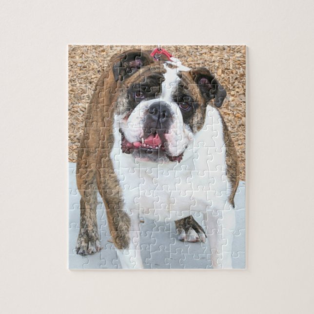 Puzzle bulldog anglais (Vertical)