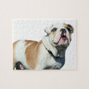 Puzzle bulldog anglais