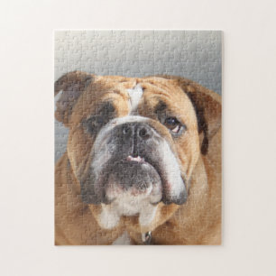 Puzzle Bulldog Face - Bulldog anglais, Brown