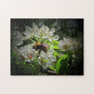 Puzzle Bumble Bee on Pear Tree Flower