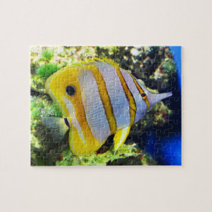 Puzzle Butterfly fish