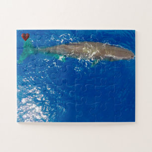 Puzzle Cachalot