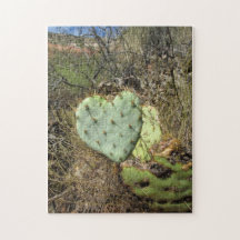 cactus de coeur