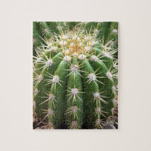 Puzzle Cactus de l'Arizona