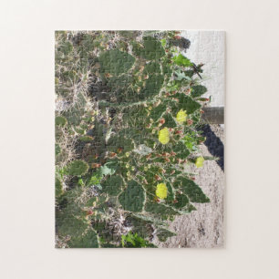 Puzzle cactus de poire