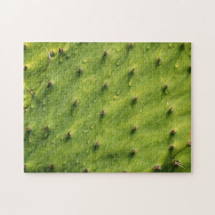 Puzzle Cactus en gros plan (extrêmement difficile)
