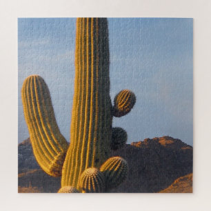 Puzzle Cactus saguaro ensoleillé