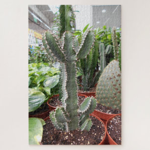 Puzzle Cactus World