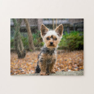 Puzzle Cadeau de conception de chien populaire
