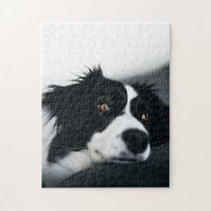 Puzzle Cadeau de conception de chien populaire