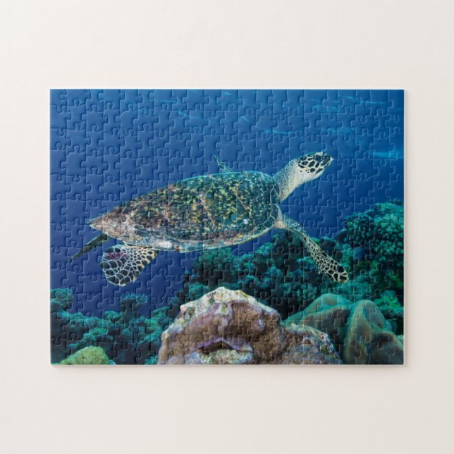 Puzzle Cadeau de corail de la Grande barrière de corail (Horizontal)