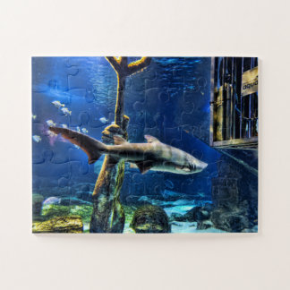 Puzzle Cage de requins