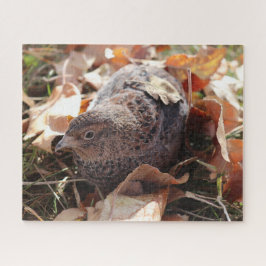 Puzzle Caille Coturnix en feuille