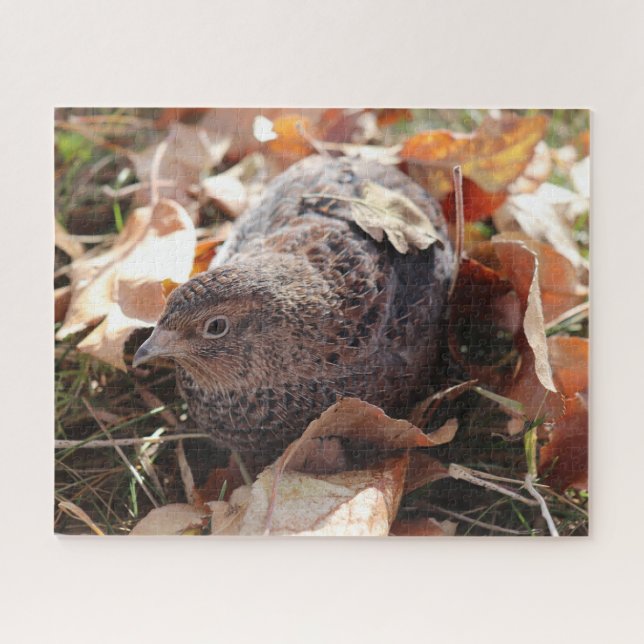 Puzzle Caille Coturnix en feuille (Horizontal)
