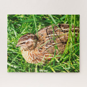 Puzzle Caille Sauvage