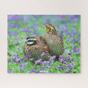 Puzzle Caille Sauvage
