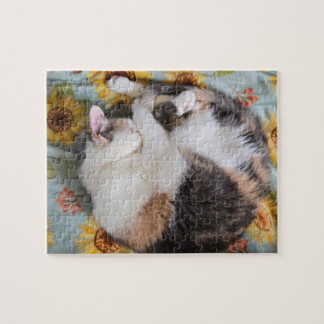 Puzzle Calico (Horizontal)