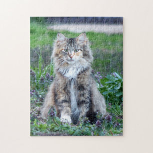 Puzzle Calico Cat