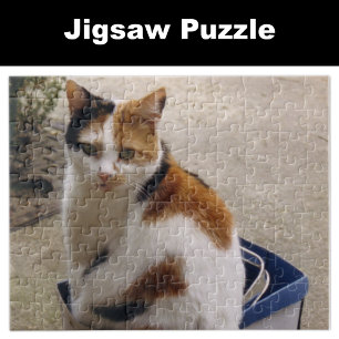 Puzzle Calico chat assis dans une boîte dans le jardin