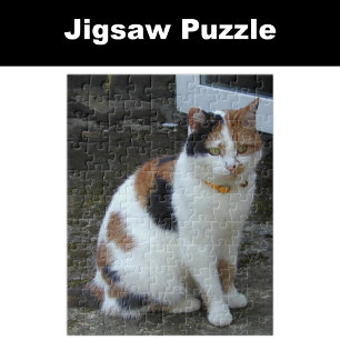 Puzzle Calico chat assis dehors