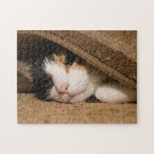 Puzzle Calico sous le tapis