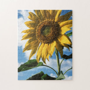 Puzzle Californie, Un Tournesol Mammouth (Helianthus) 2