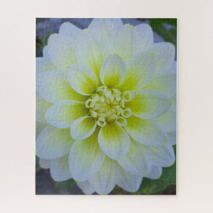 Puzzle Calme matinal : Fleur blanche à étages dans la lum
