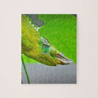 Puzzle Caméléon à cornes du géant 3