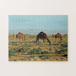 Puzzle Camels, Tunisie 252-pc