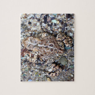 Puzzle Camoflouge Grenouille Toad Amphibian