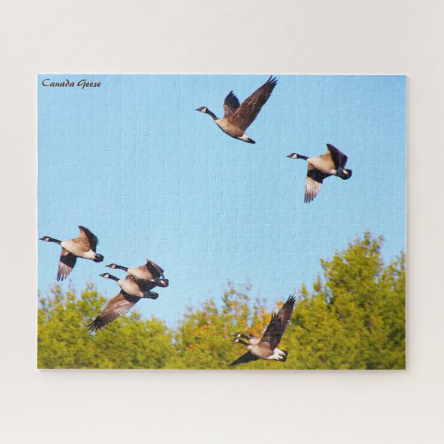 Puzzle Canada Goose (Horizontal)