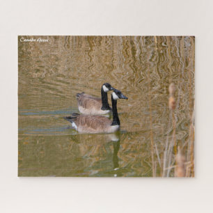 Puzzle Canada Goose