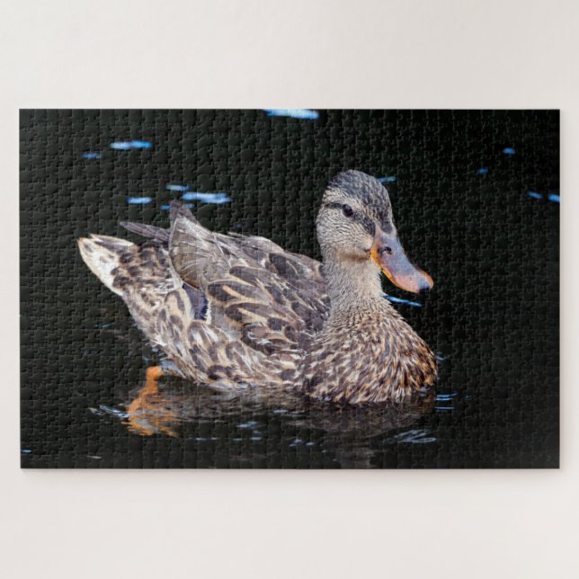 Puzzle Canard (Horizontal)