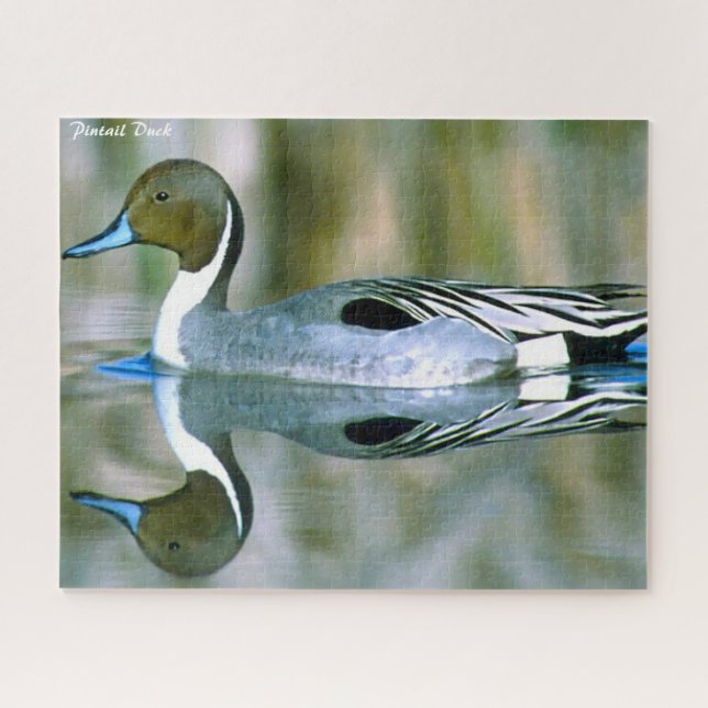 Puzzle Canard à intail (Horizontal)