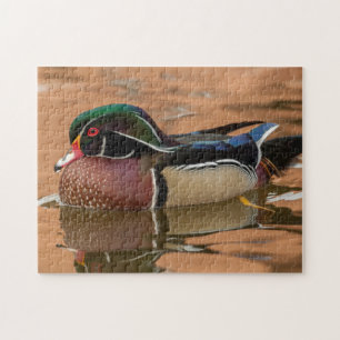 Puzzle Canard branchu nageant dans l'eau