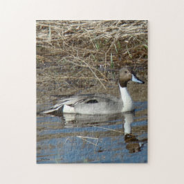 Puzzle Canard colvert B5 Pintail