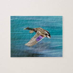 Puzzle Canard colvert volant