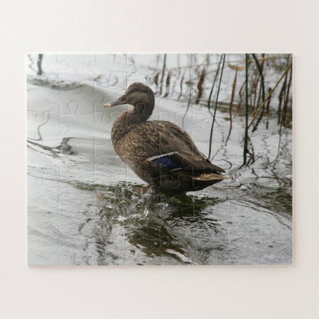 Puzzle Canard gris sur la nuit du lac (Horizontal)