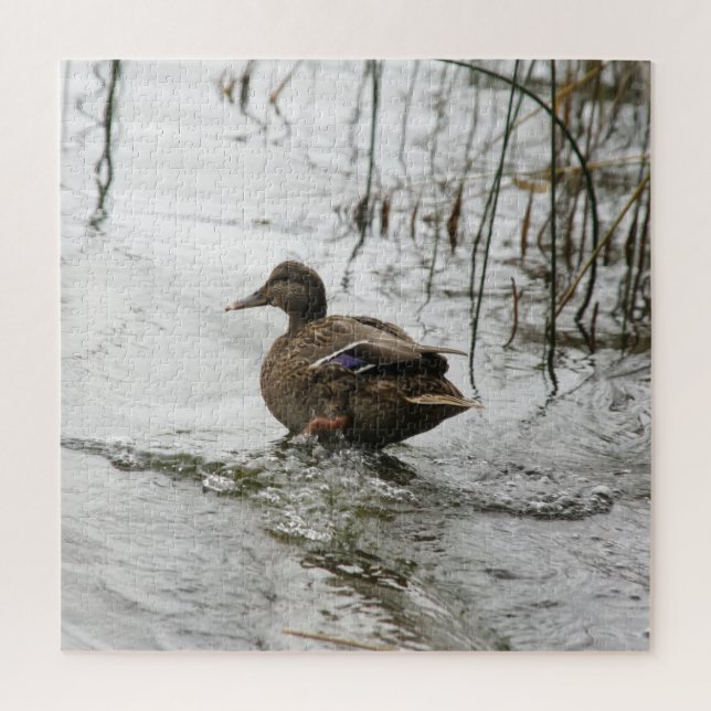 Puzzle Canard gris sur la nuit du lac (Vertical)