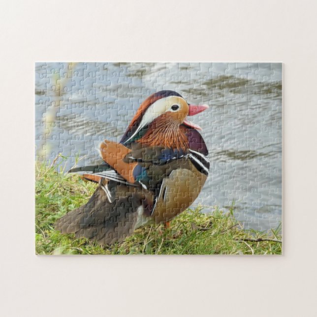 Puzzle Canard mandarin passionnant (Horizontal)