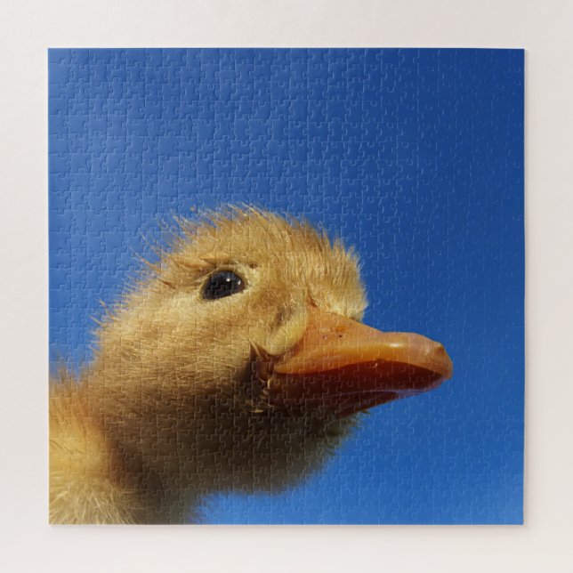 Puzzle canard, poulet, animal, poussin, oiseau, ferme, mi (Vertical)
