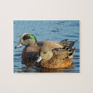 Puzzle Canards à gros grains américains (Drake et Hen)