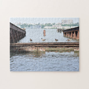 Puzzle Canards dans la rivière Hudson New York