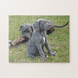 Puzzle Cane Corso Puppy Cute Jouer