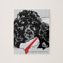:Caniche