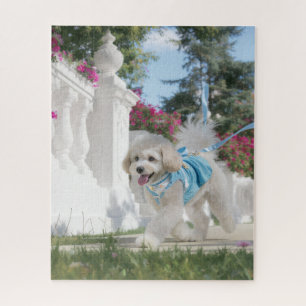 Puzzle Caniche Trotteur