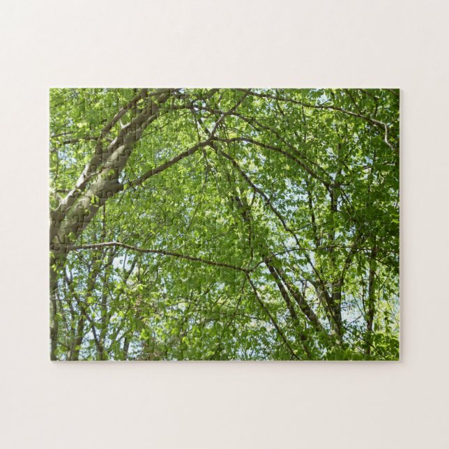 Puzzle Canopée du printemps Feuille Green Nature Scene (Horizontal)